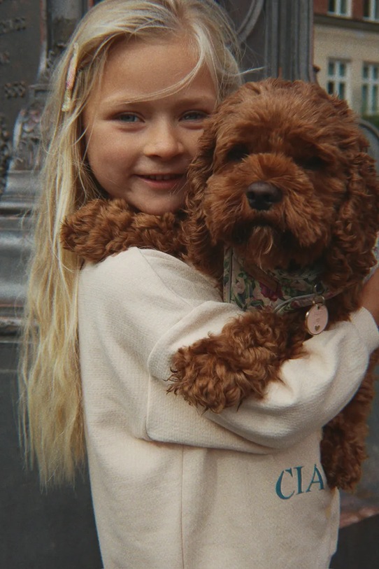 Konges Sløjd bluza bawełniana niemowlęca BELLI SWEAT SHIRT OCS KS105194.9BYA