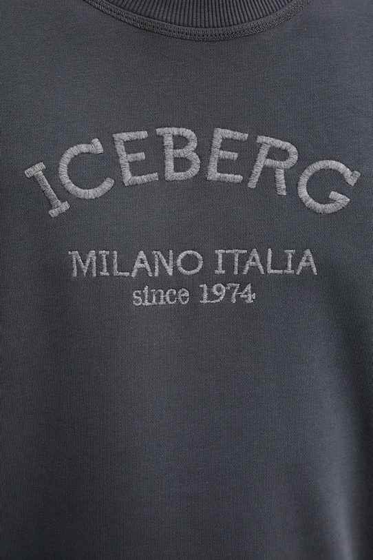 Iceberg bluza E030.6317 szary