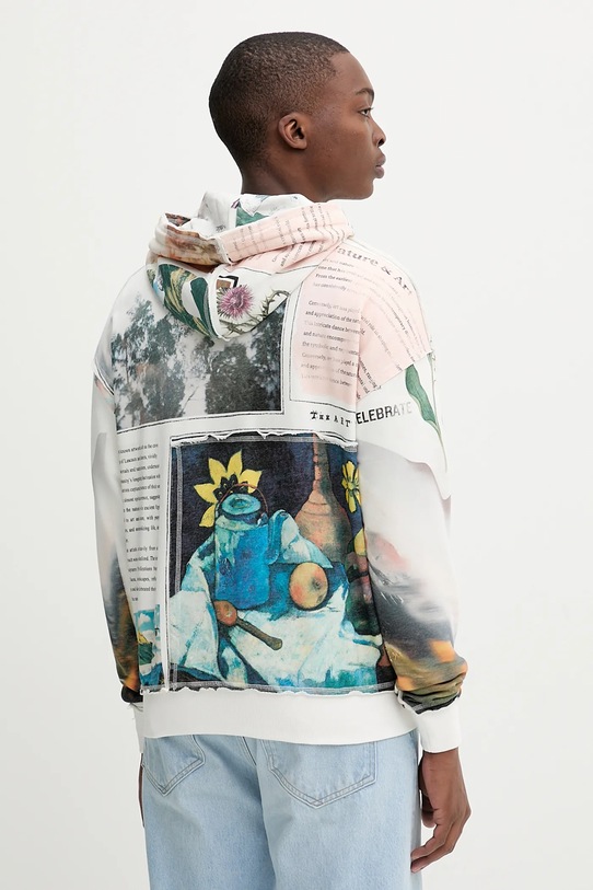 Odzież Desigual bluza BRADFORD 25WMSK11 beżowy