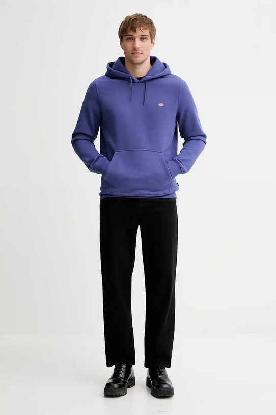 Кофта Dickies DK0A4XCD фіолетовий AW25