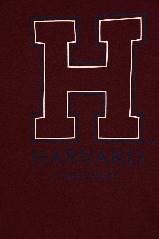 Băieți United Colors of Benetton longsleeve din bumbac pentru copii 3IVWC10PW.G.seasonal burgundia