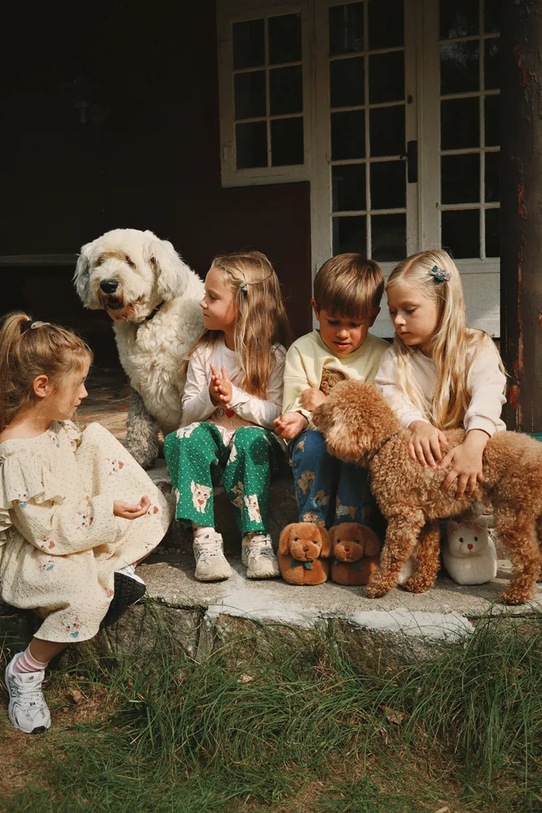 Konges Sløjd longsleeve bawełniany dziecięcy KITTY FRILL TEE GOTS KS105186.9BYA