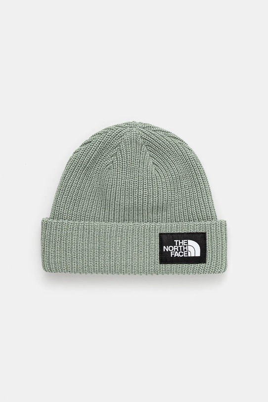 The North Face czapka dziecięca KIDS SALTY LINED BEANIE aplikacja zielony NF0A8CGSBQ11