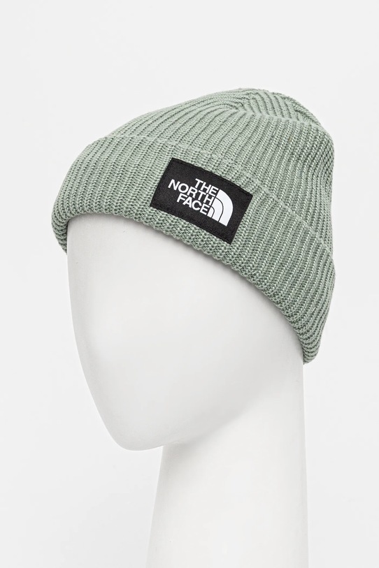 Chłopiec The North Face czapka dziecięca KIDS SALTY LINED BEANIE NF0A8CGSBQ11 zielony