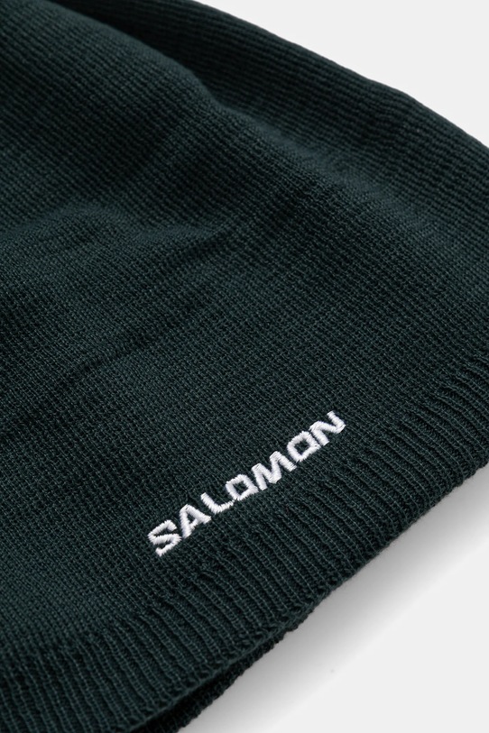 Аксессуары Шапка Salomon LC2631200 зелёный