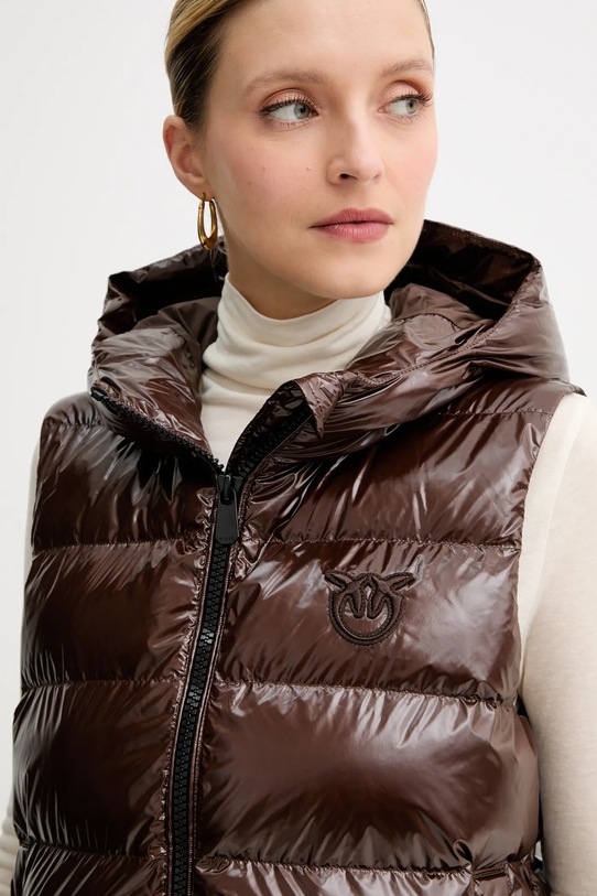 Pinko vestă maro 103825.A2P7