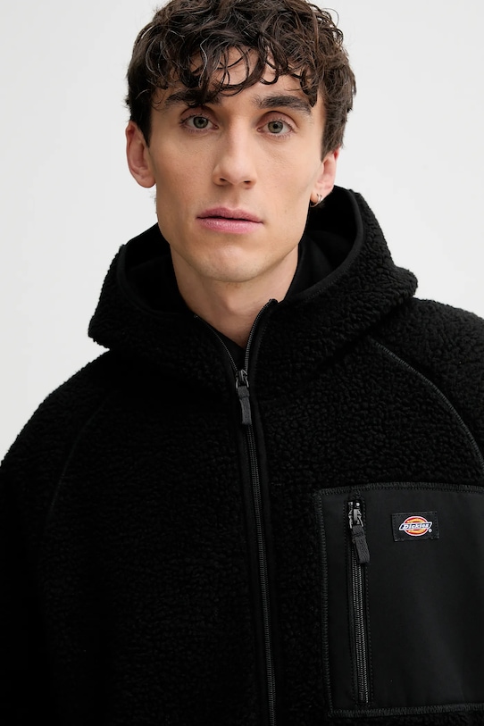 Dickies bluza polarowa czarny DK0A87NV