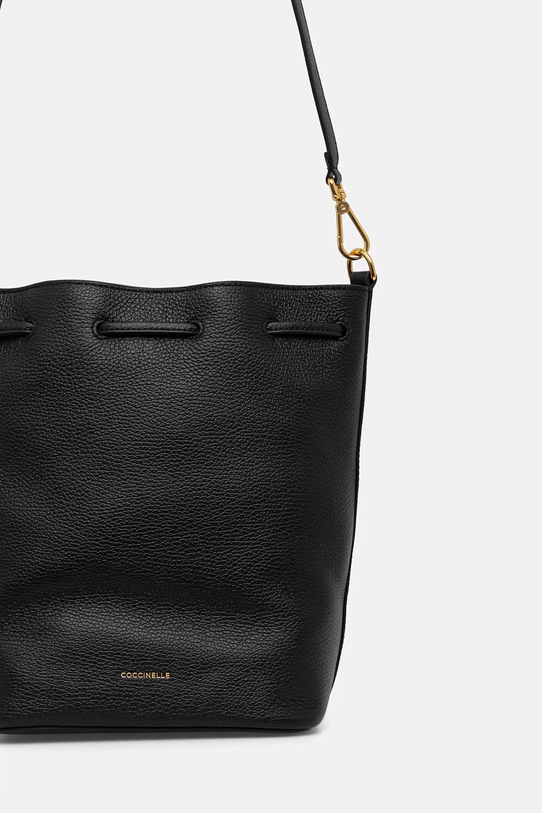 Akcesoria Coccinelle torebka skórzana E1.TFK.23.02.01 czarny