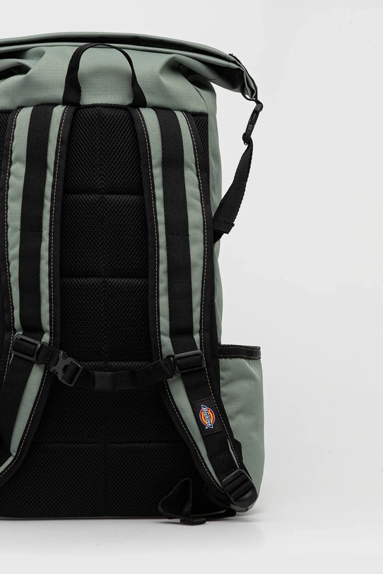 Аксессуары Рюкзак Dickies DK0A87MX зелёный