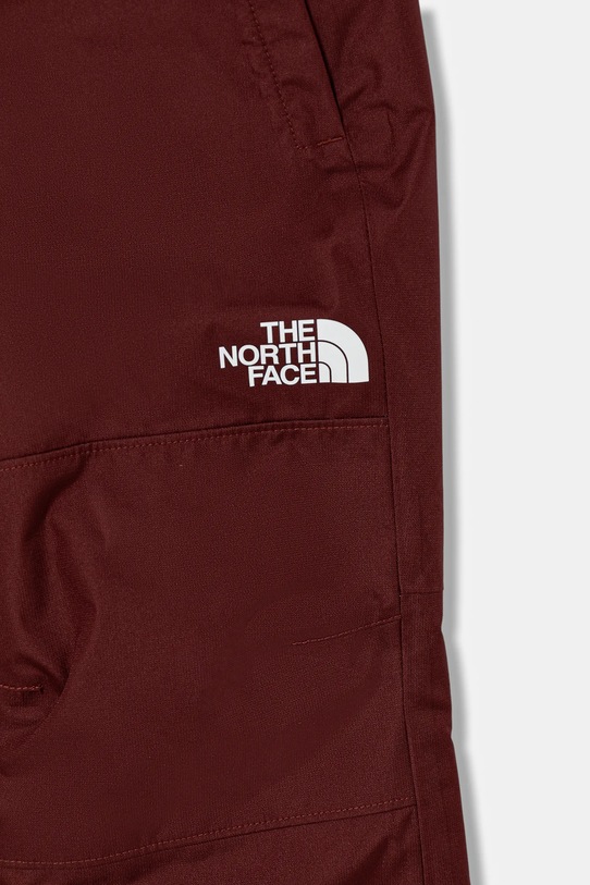 Chlapec Detské lyžiarske nohavice The North Face B FREEDOM INSULATED PANT NF0A88TY0VO1 burgundské