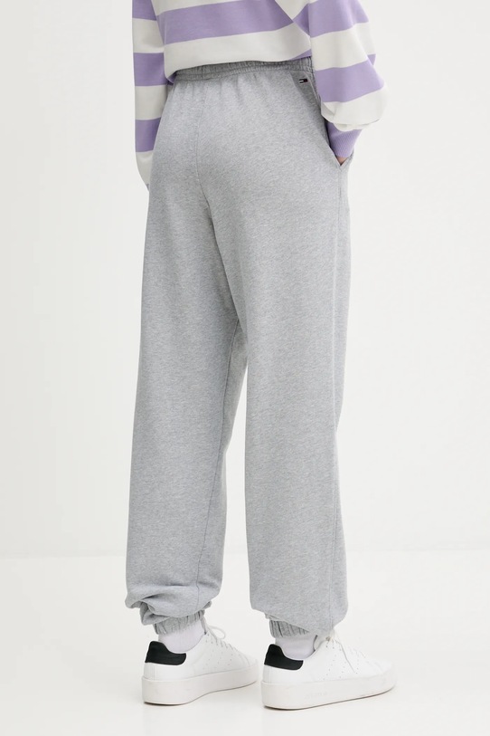 Oblečení Tepláky Tommy Jeans DW0DW20994 šedá