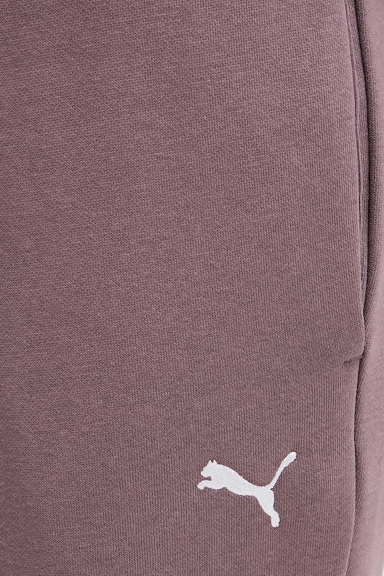 Спортивные штаны Puma фиолетовой 682467