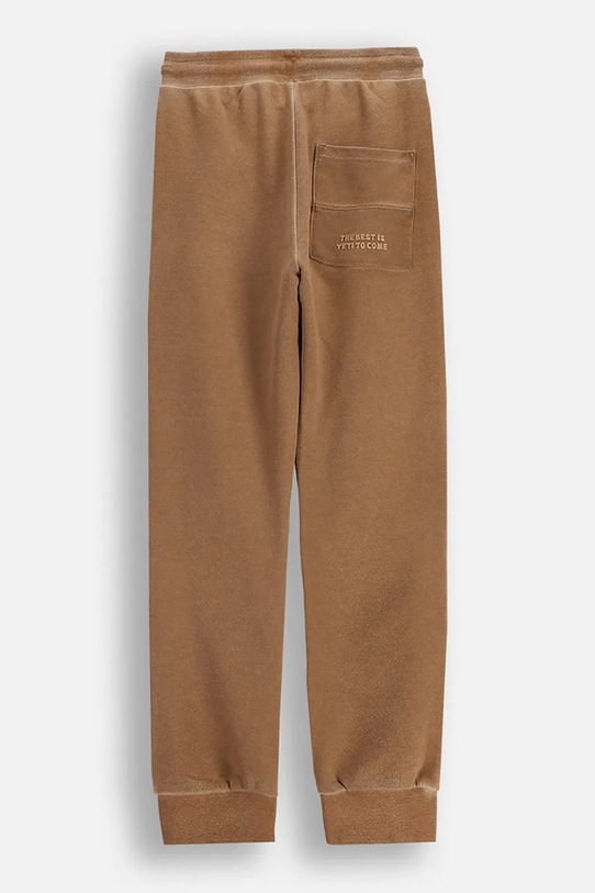 Coccodrillo spodnie dresowe dziecięce ZC5120104YBJ brązowy AW25