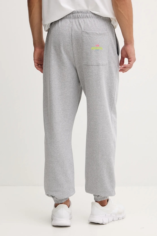 Odzież The North Face spodnie dresowe Expedition Celebration NF0A8E3EDYX1 szary