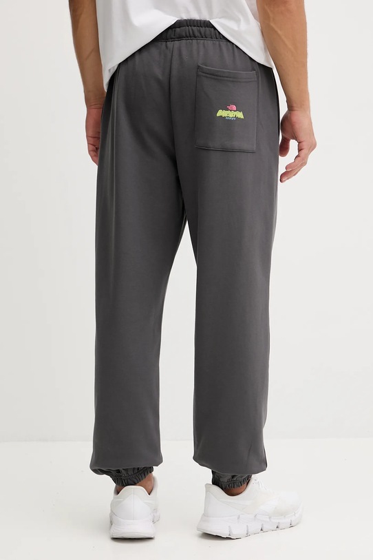 Îmbrăcăminte The North Face pantaloni de trening din bumbac Expedition Celebration NF0A8E3ERHI1 gri