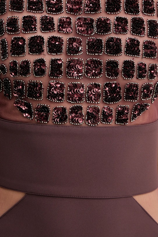 Elisabetta Franchi rochie AB83457E2 burgundia