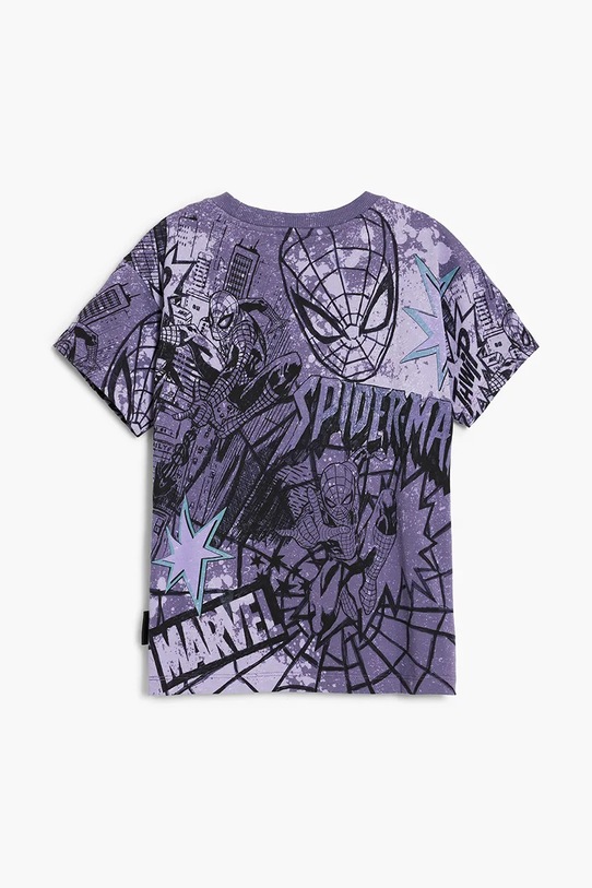 Мальчик Детская хлопковая футболка Desigual 25WBTK03 серый