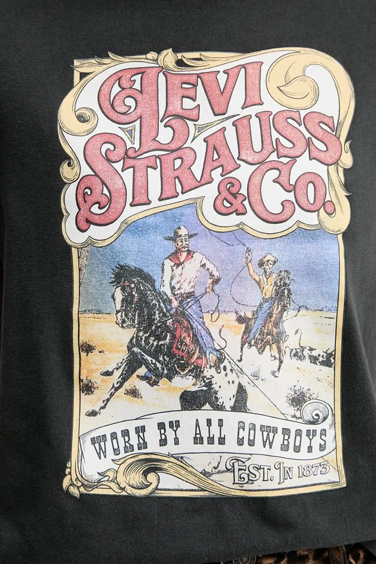 Bavlněné tričko Levi's 17369.3309 šedá