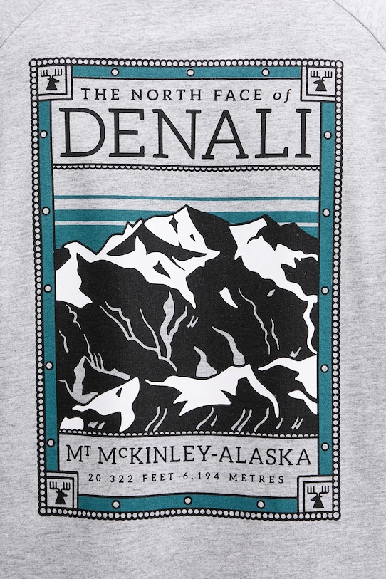 The North Face t-shirt NF0A87NUDYX1 szary