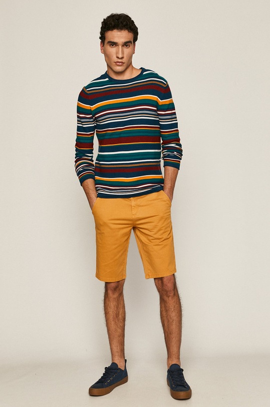 Sweter męski w paski RS21.SWM600 multicolor RS21