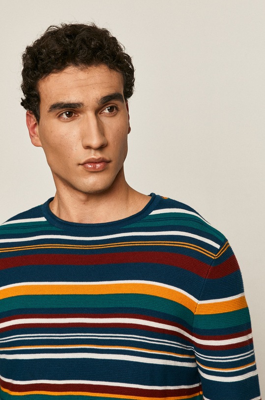 Sweter męski w paski multicolor RS21.SWM600
