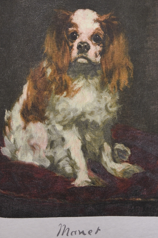 T-shirt bawełniany Eviva L'arte damski z nadrukiem biały RS22.TSD156