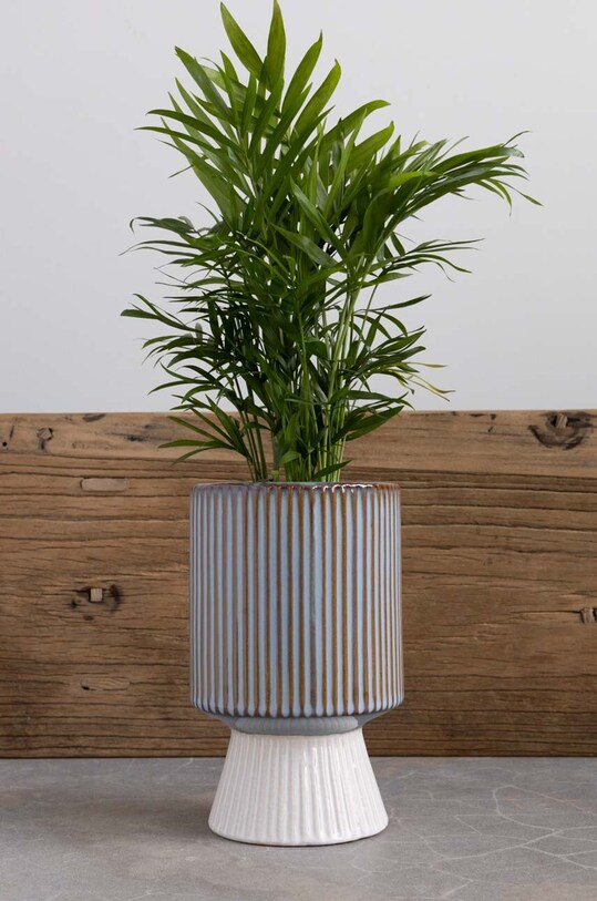 Medicine osłonka na doniczkę multicolor RS23.DEU603