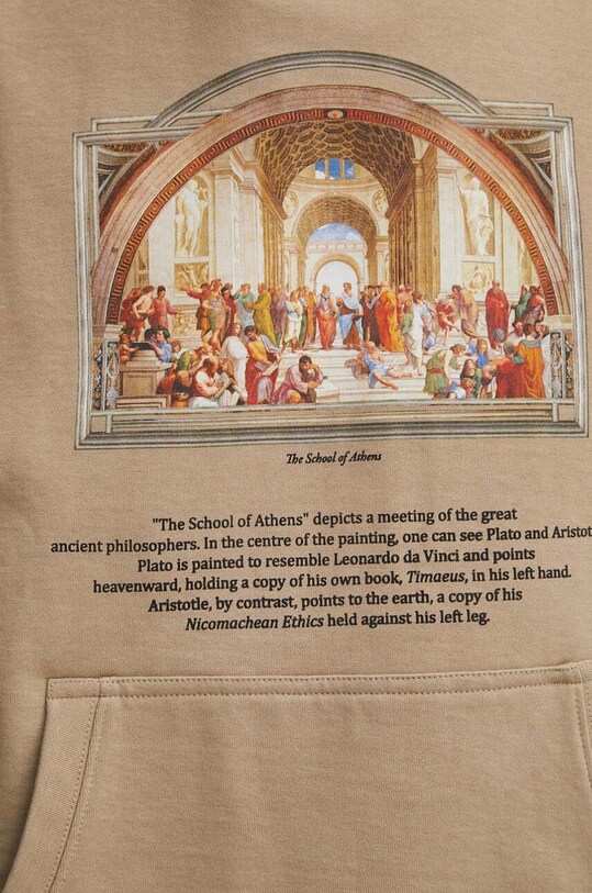Bluza męska z kolekcji Eviva L'arte kolor beżowy RS24.BLM252
