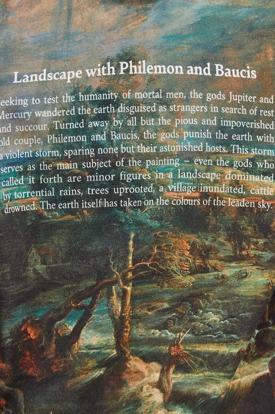 Bavlněná mikina pánská z kolekce Eviva L'arte více barev RS24.BLM254