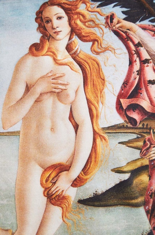 T-shirt bawełniany damski z kolekcji Eviva L'arte kolor multicolor RS24.TSD260