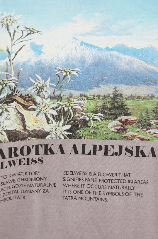 T-shirt bawełniany damski z kolekcji Tatrzański Park Narodowy x Medicine kolor fioletowy RS24.TSDA60