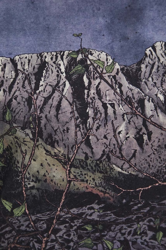 Bavlnené tričko dámske s prímesou elastanu z kolekcie Tatra Legends viac farieb RS24.TSDA63