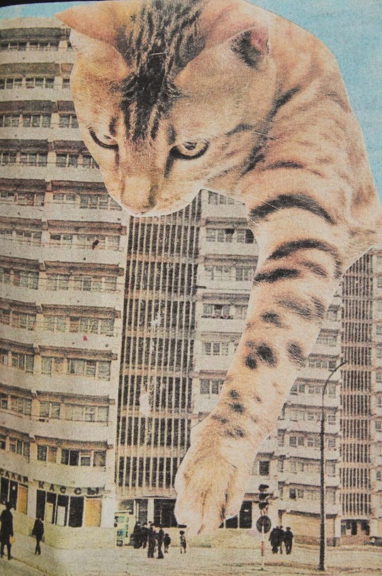 T-shirt bawełniany męski by Magda Kubiak - Dziki Las collages, Grafika Polska kolor czarny RS24.TSM466 czarny
