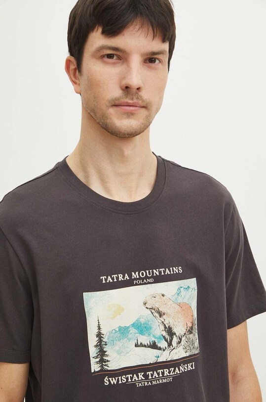 T-shirt bawełniany męski z kolekcji Tatrzański Park Narodowy x Medicine kolor szary RS24.TSMA57 szary RS24