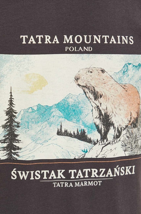 Bavlněné tričko pánské šedá barva RS24.TSMA57