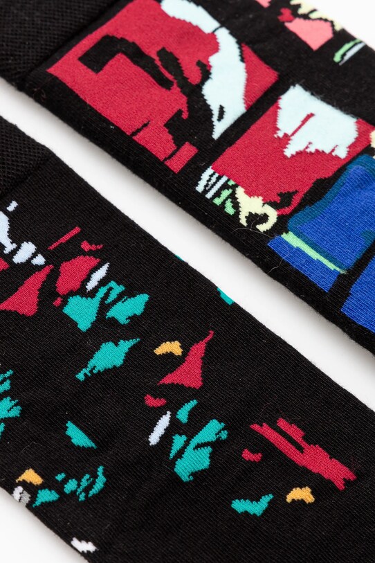 Skarpetki bawełniane męskie z kolekcji Eviva L'arte (2-pack) kolor multicolor RS25.LGM253 multicolor RS25