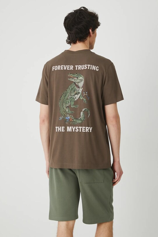 Odzież T-shirt bawełniany męski z elastanem z nadrukiem kolor brązowy RS25.TSM807 brązowy