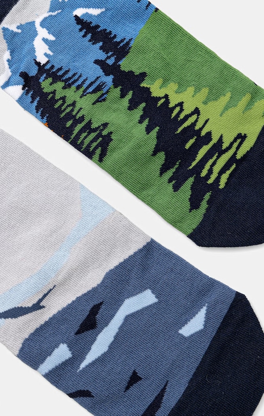 Skarpetki bawełniane męskie wzorzyste (2-pack) RS26-LGM500 multicolor RS26