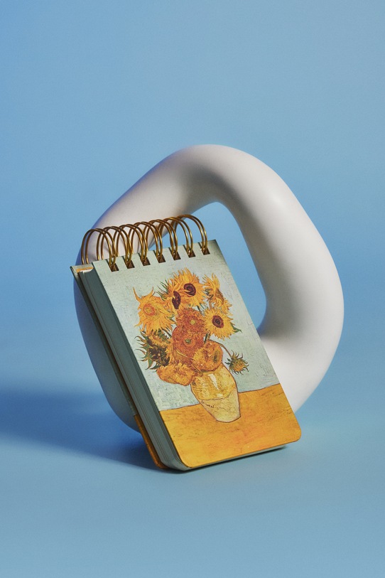 Špirálový zápisník z kolekcie Eviva L'arte viacfarebná RS26-PAU252