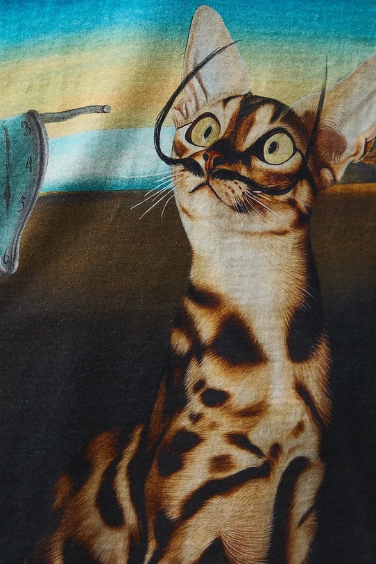 Medicine t-shirt bawełniany RS26-TSD353 multicolor