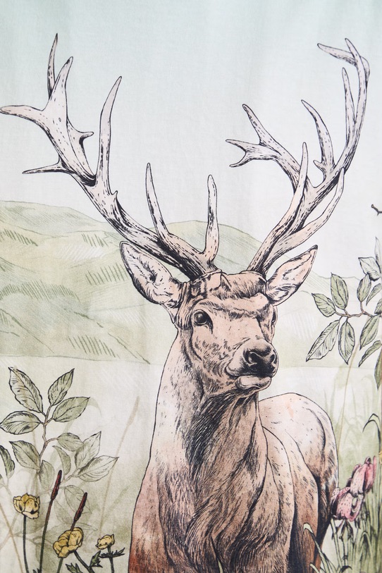 T-shirt damski bawełniany z kolekcji Bieszczadzki Park Narodowy x Medicine RS26-TSD852