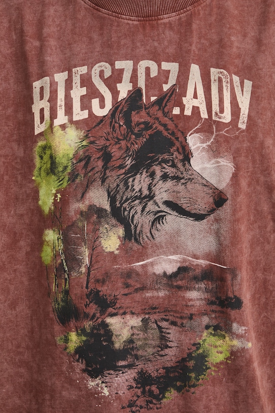 T-shirt oversize damski bawełniany z kolekcji Bieszczadzki Park Narodowy x Medicine RS26-TSD858