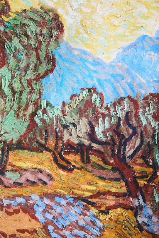 Tričko pánské ze speciální kolekce Eviva L'arte RS26-TSM257