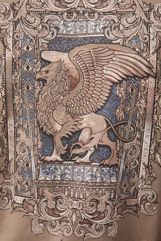 T-shirt bawełniany męski z nadrukiem RS26-TSM302 brązowy