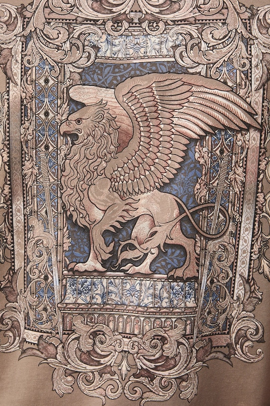 T-shirt bawełniany męski z nadrukiem RS26-TSM302 brązowy