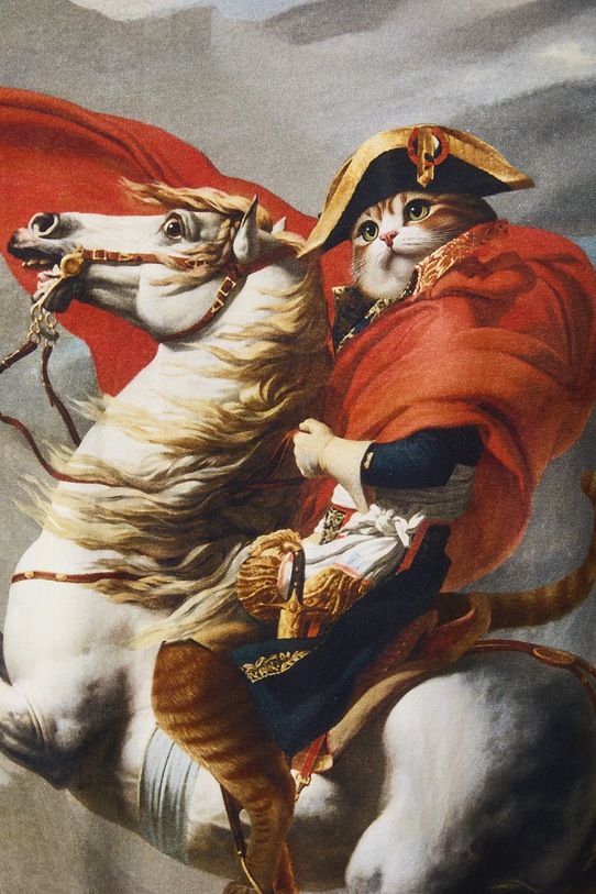 Medicine t-shirt RS26-TSM351 beżowy