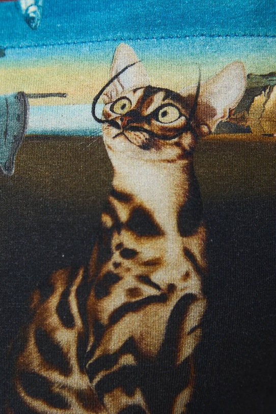 Medicine t-shirt RS26-TSM352 brązowy