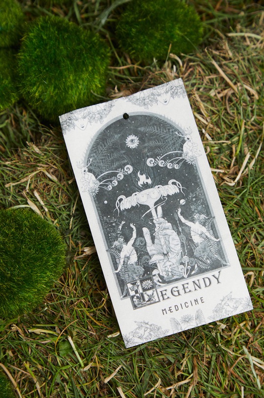 Bluza bawełniana męska z kolekcji Legendy czarna RW22.BLM150