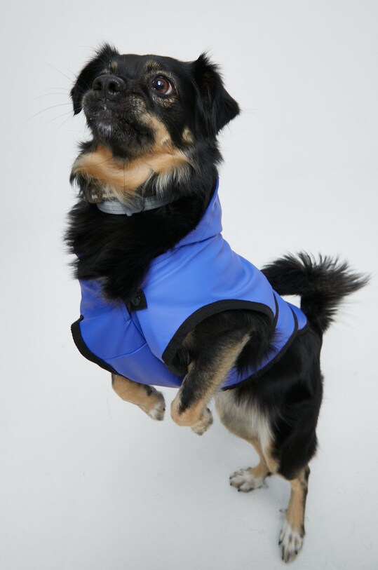 Bunda pre zvieratko z hladkého materiálu RW22.KUU501 fialová