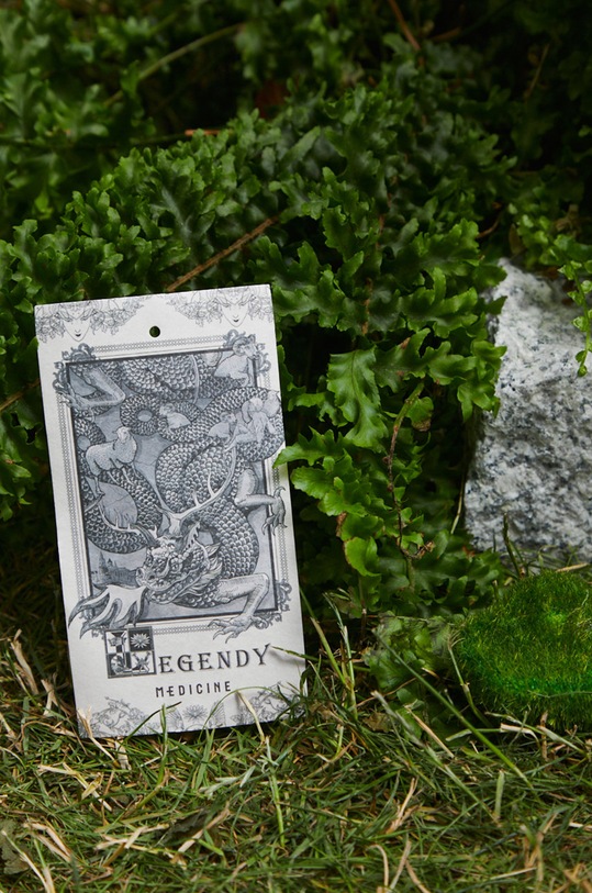 Ponožky dámske Legendy (2-pack) RW22.LGD103 viacfarebná